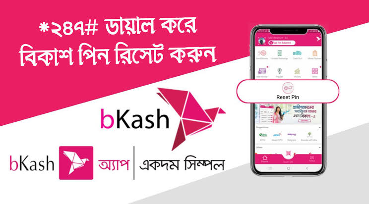 বিকাশ পিন রিসেট