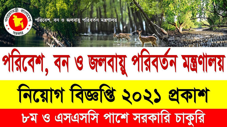 পরিবেশ বন ও জলবায়ু পরিবর্তন মন্ত্রণালয় নিয়োগ বিজ্ঞপ্তি